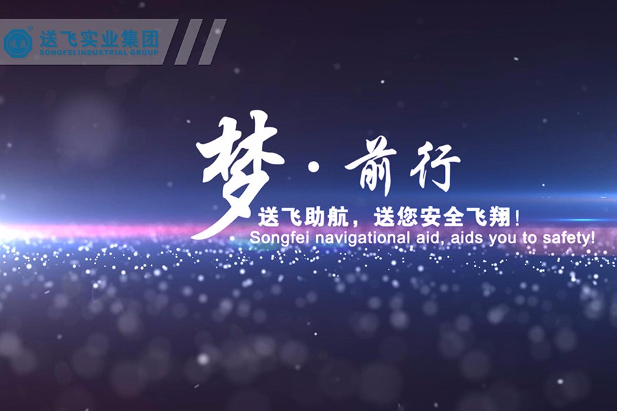 送飛實業(yè)集團 企業(yè)宣傳片