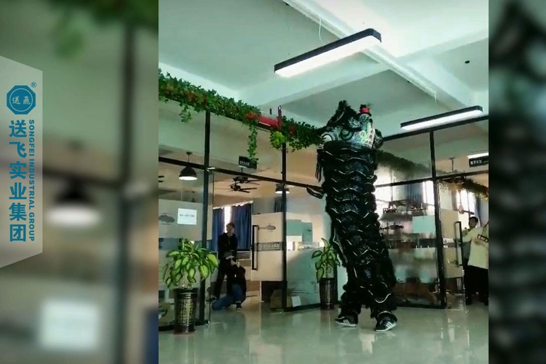 送飛實業(yè)集團：正月十五，舞獅鬧元宵 2019